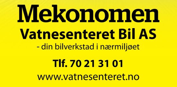 Vatnesenteret BIl